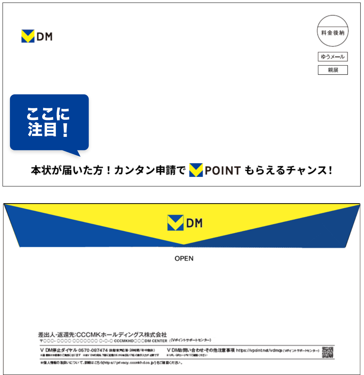 特典Vポイント付きV DM